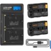 Shentec NP-FM500H con 2 batterie & Fast LCD Dual Charger COMPATIBILE camera A57 A58 A65 A77 A99 A500 A550 A560 A580 A700 A850 A900 SLT a99 II